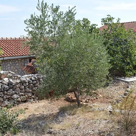 Holiday House Rukavac *