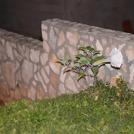 Holiday House Rukavac
